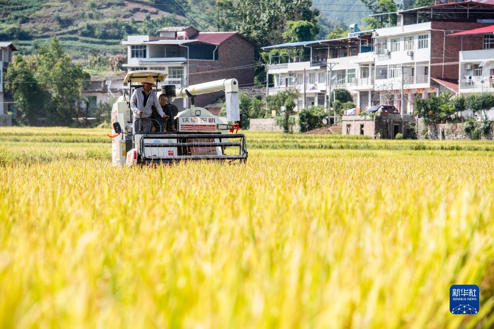 万能游戏破解充值
